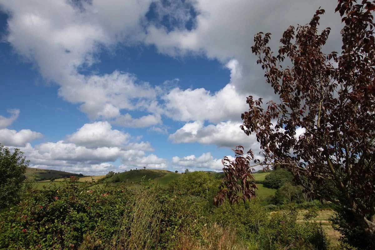 Llandovery Landscape