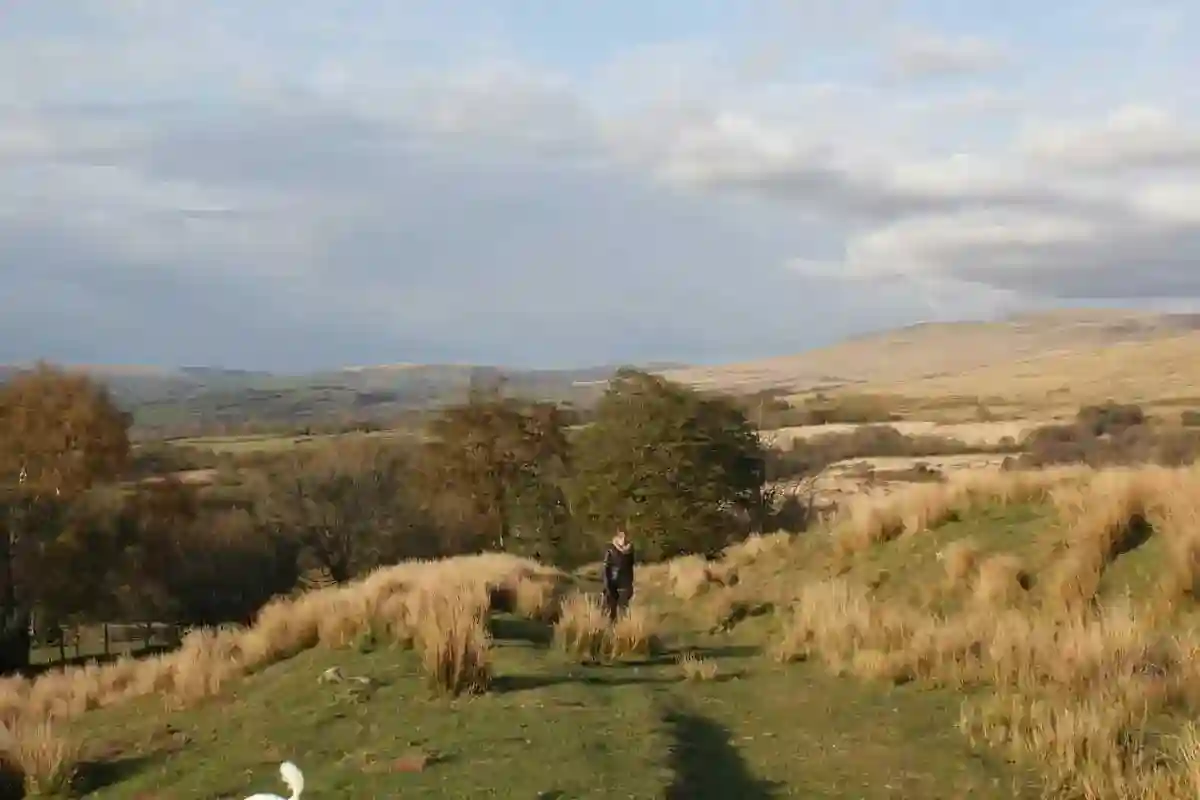Llandovery Producers' Market: A Taste of the Towy Valley