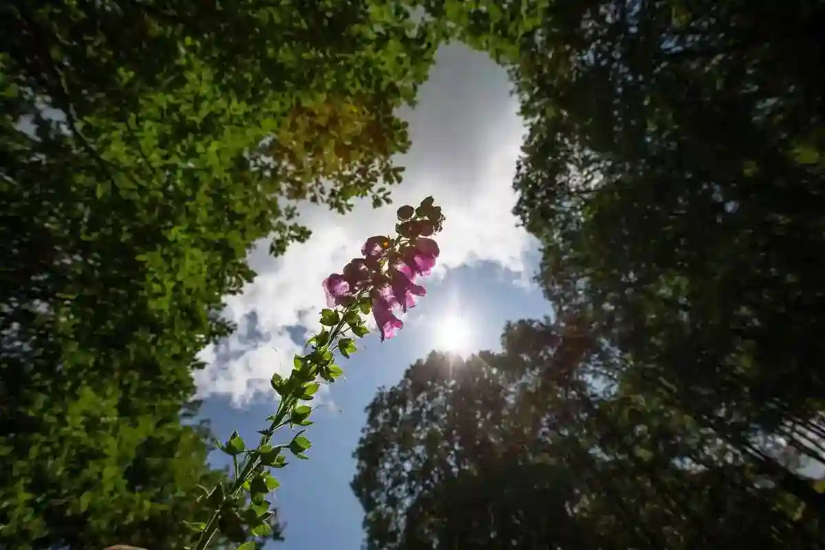 Harnessing Nature: Rainwater Harvesting & Bespoke Solar Power in Our Eco Cabins