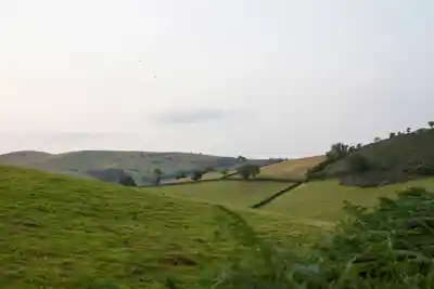 Nature photography at Tyle Glas, Llandovery
