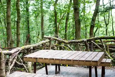 Discover the true beauty of Wales in Llandovery