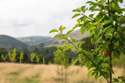 Discover the true beauty of Wales in Llandovery