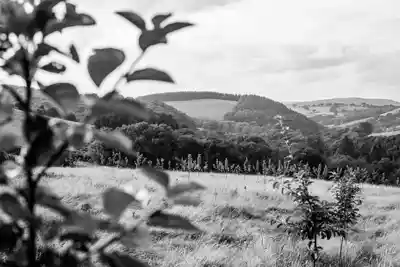 Photos of the rolling hills and countryside in Llandovery