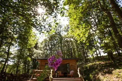 Brecon Oak's stunning natural surroundings