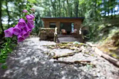 Nature photography at Tyle Glas, Llandovery