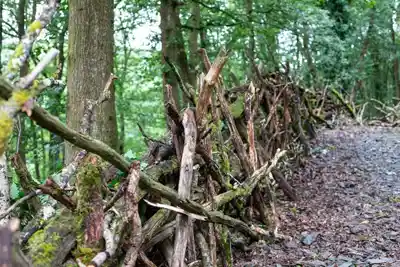 Photos from the Brecon Beacons taken at Tyle Glas Llandovery