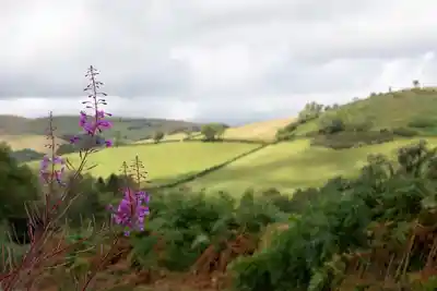 Photos from the Brecon Beacons taken at Tyle Glas Llandovery