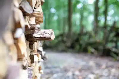 Brecon Oak's stunning natural surroundings