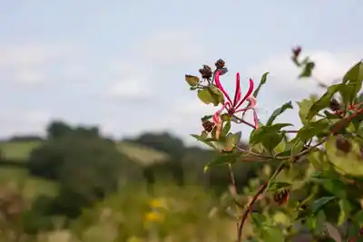 Brecon Oak's stunning natural surroundings