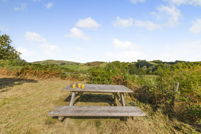 Private garden area